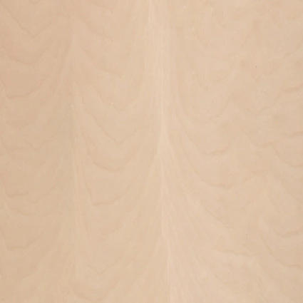 Edge BOIS BIRCH 7/8x250. 801204.